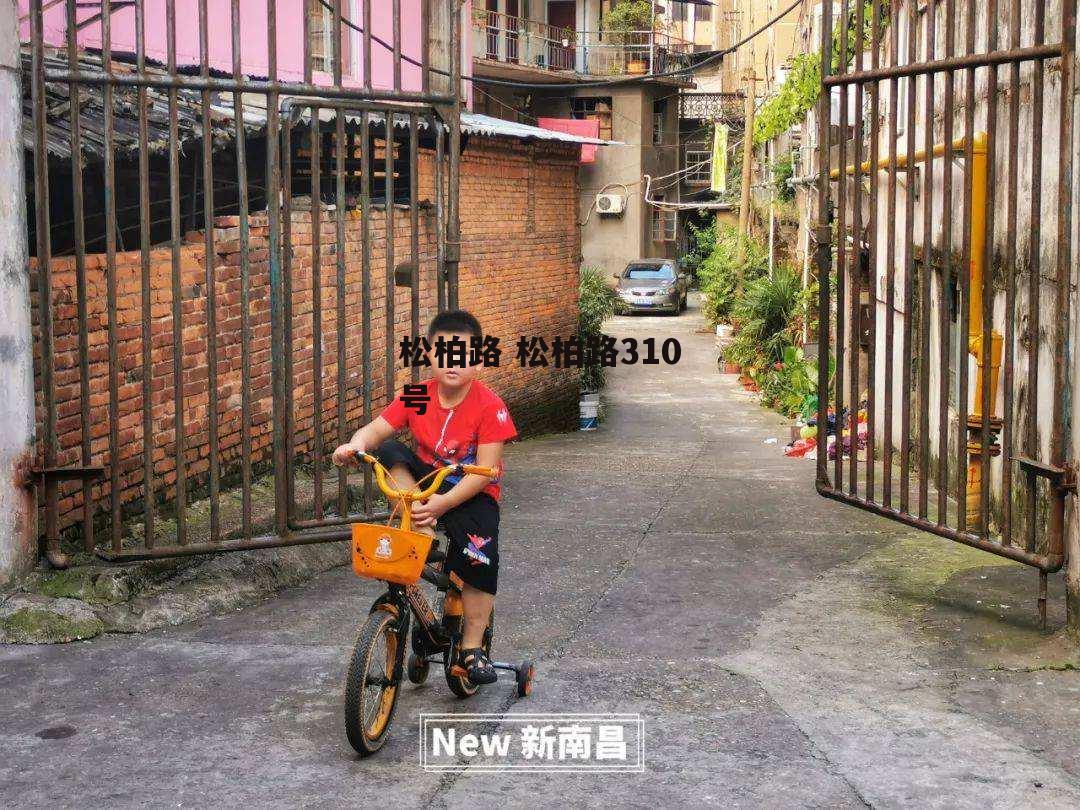 松柏路 松柏路310号