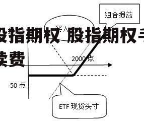 股指期权 股指期权手续费