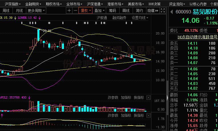 易见股份股吧 易见股份股吧见