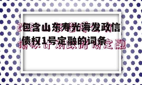 包含山东寿光海发政信债权1号定融的词条