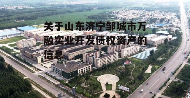 关于山东济宁邹城市万融实业开发债权资产的信息