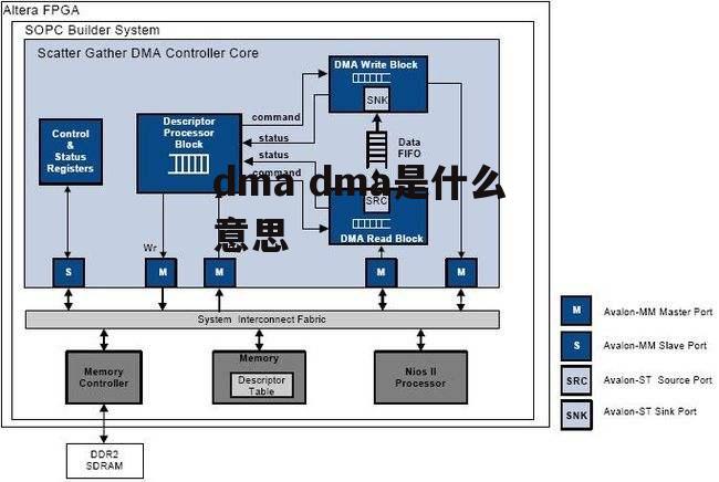 dma dma是什么意思