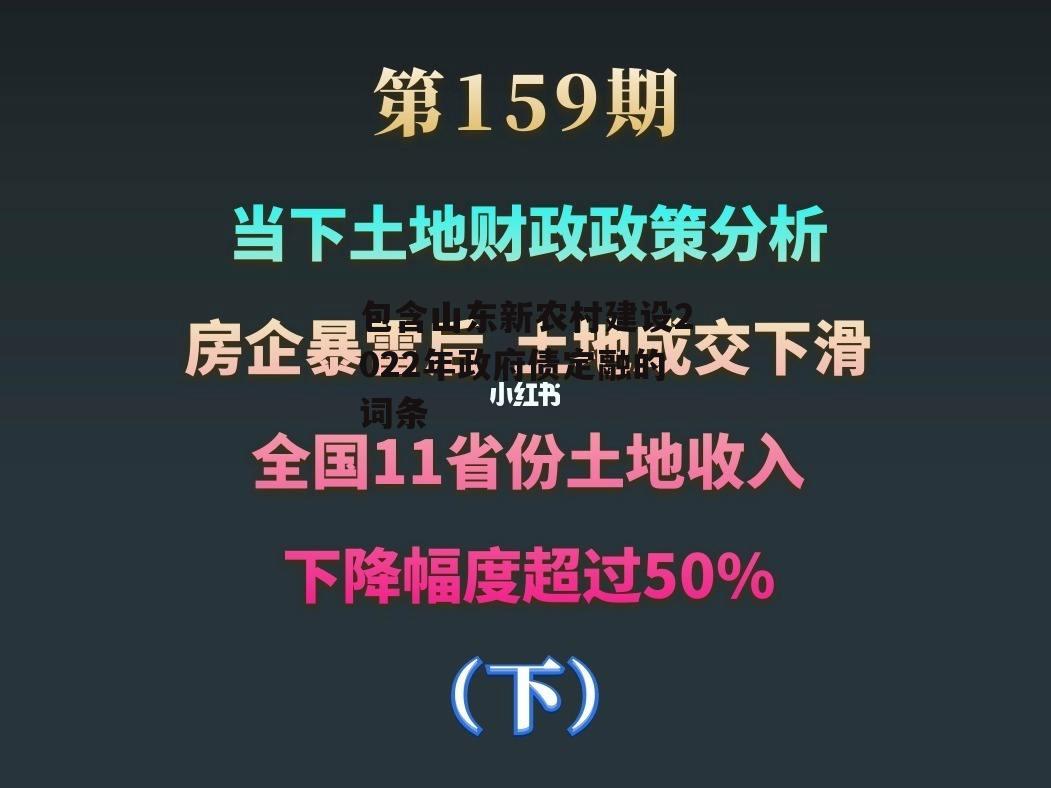 包含山东新农村建设2022年政府债定融的词条