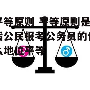 平等原则 平等原则是指公民报考公务员的什么地位平等