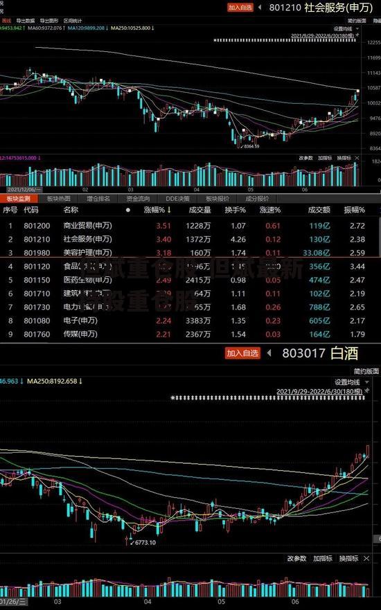 但斌重仓股 但斌最新持股重仓股