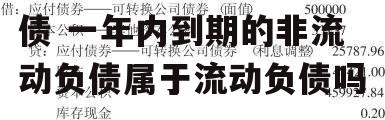 一年内到期的非流动负债 一年内到期的非流动负债属于流动负债吗