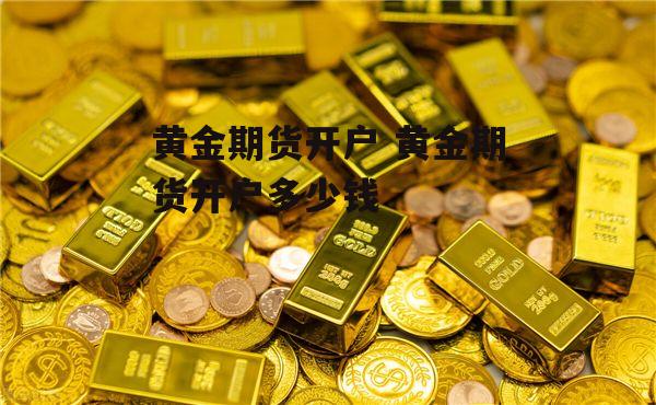 黄金期货开户 黄金期货开户多少钱