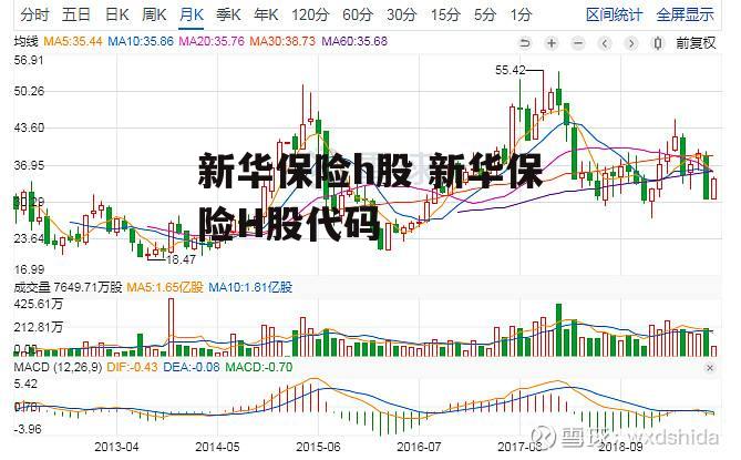 新华保险h股 新华保险H股代码