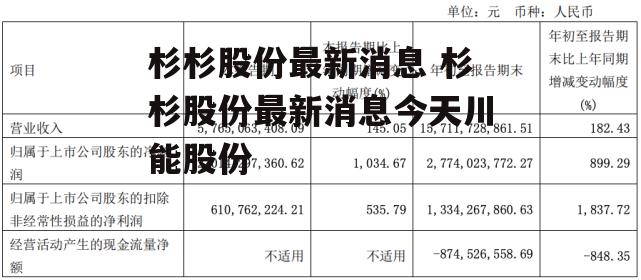 杉杉股份最新消息 杉杉股份最新消息今天川能股份