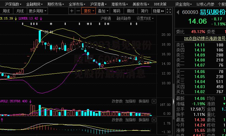 600093易见股份股吧 600093易见股份最新消息