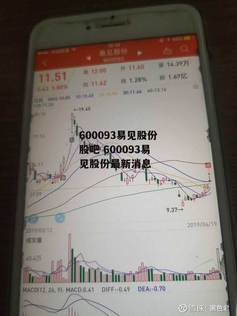 600093易见股份股吧 600093易见股份最新消息