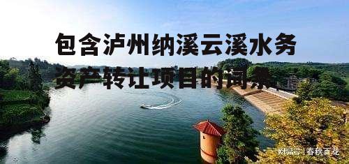 包含泸州纳溪云溪水务资产转让项目的词条