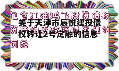 关于天津市辰悦建投债权转让2号定融的信息