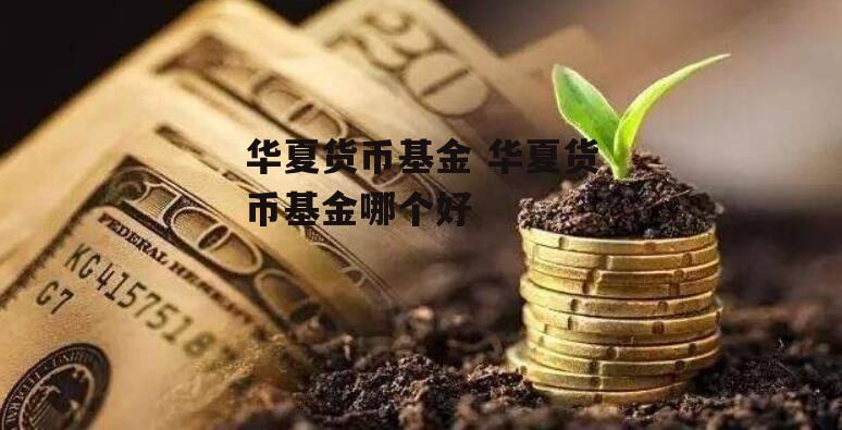 华夏货币基金 华夏货币基金哪个好