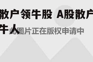 散户领牛股 A股散户牛人