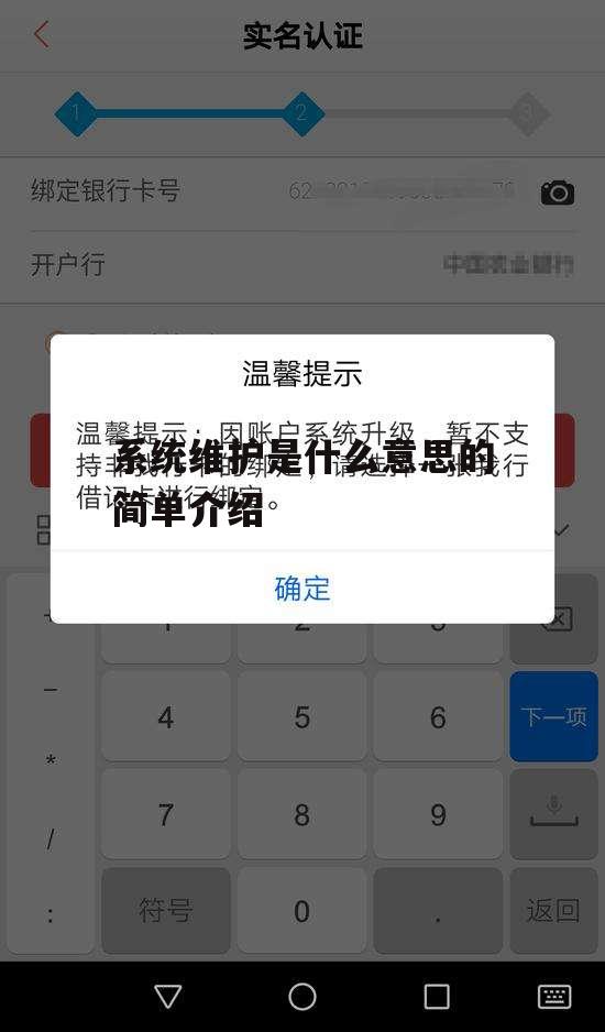 系统维护是什么意思的简单介绍