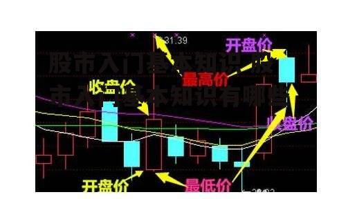 股市入门基本知识 股市入门基本知识有哪些