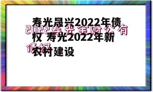 寿光晟兴2022年债权 寿光2022年新农村建设