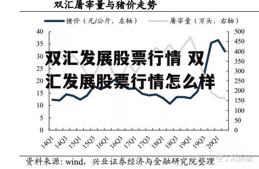 双汇发展股票行情 双汇发展股票行情怎么样