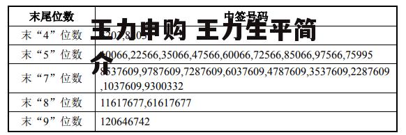 王力申购 王力生平简介