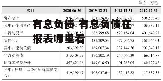 有息负债 有息负债在报表哪里看