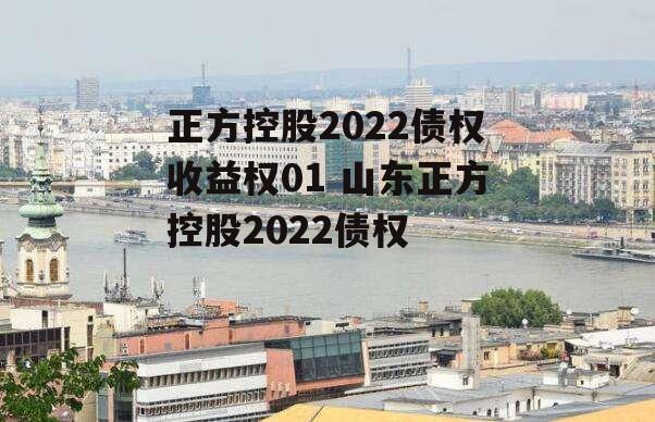 正方控股2022债权收益权01 山东正方控股2022债权