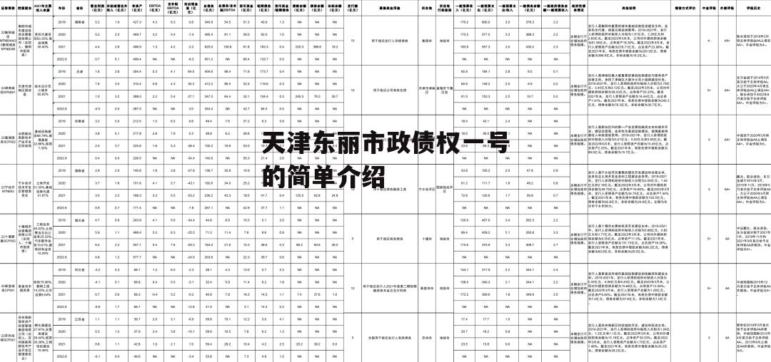 天津东丽市政债权一号的简单介绍