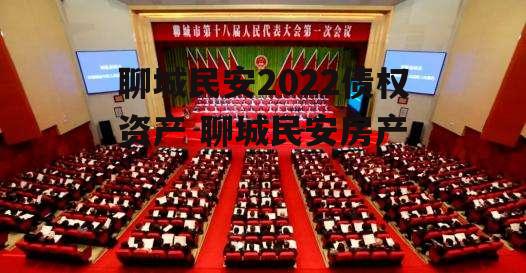 聊城民安2022债权资产 聊城民安房产