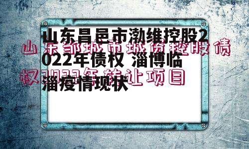 山东昌邑市渤维控股2022年债权 淄博临淄疫情现状