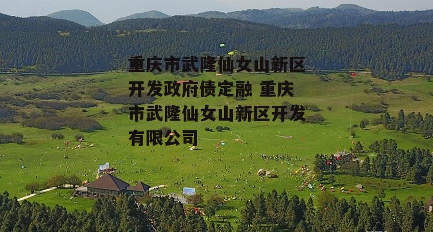 重庆市武隆仙女山新区开发政府债定融 重庆市武隆仙女山新区开发有限公司