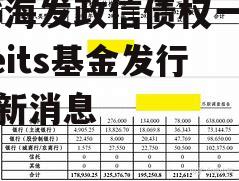 SG海发政信债权一号 reits基金发行最新消息