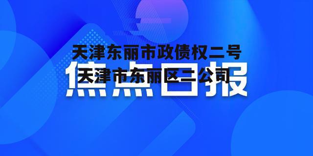 天津东丽市政债权二号 天津市东丽区二公司