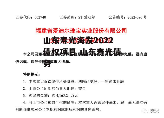 山东寿光海发2022债权项目 山东寿光债务