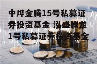 中烨金腾15号私募证券投资基金 泓盛腾龙1号私募证券投资基金