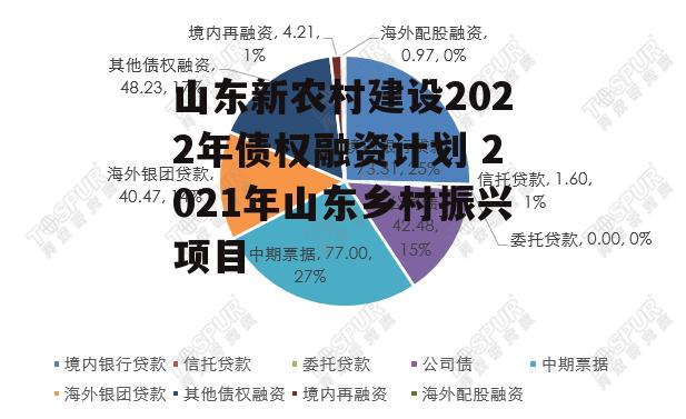 山东新农村建设2022年债权融资计划 2021年山东乡村振兴项目