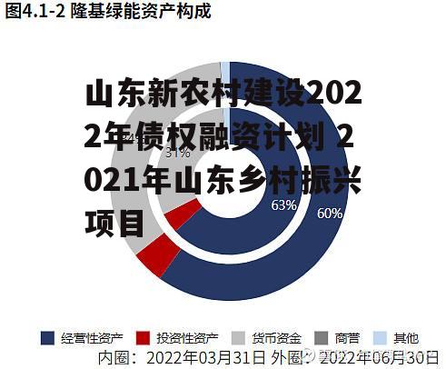 山东新农村建设2022年债权融资计划 2021年山东乡村振兴项目