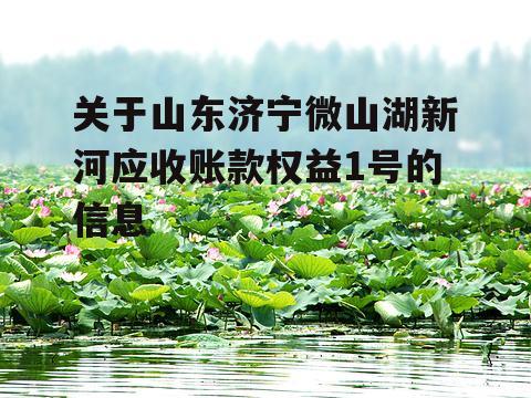 关于山东济宁微山湖新河应收账款权益1号的信息