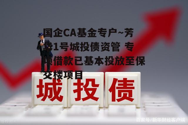 国企CA基金专户～芳华1号城投债资管 专项借款已基本投放至保交楼项目