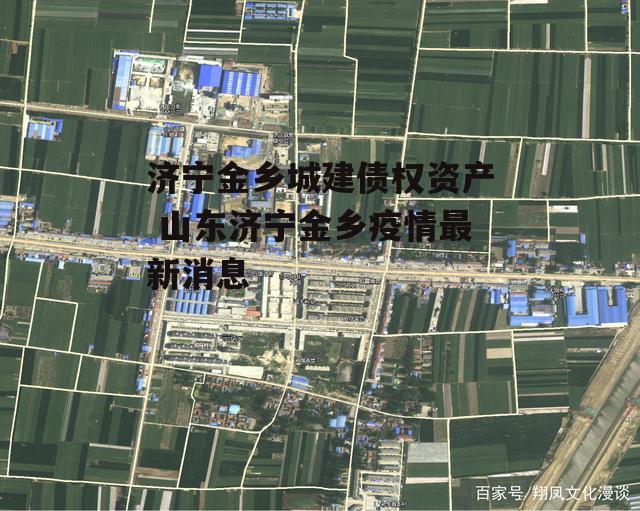 济宁金乡城建债权资产 山东济宁金乡疫情最新消息