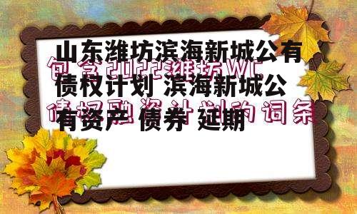 山东潍坊滨海新城公有债权计划 滨海新城公有资产 债券 延期