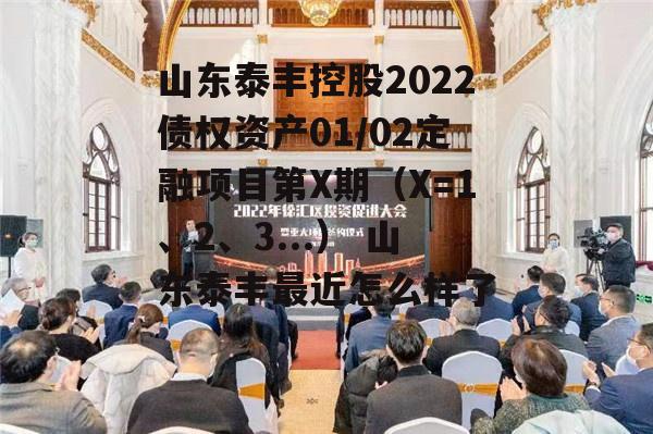 山东泰丰控股2022债权资产01/02定融项目第X期（X=1、2、3...） 山东泰丰最近怎么样了