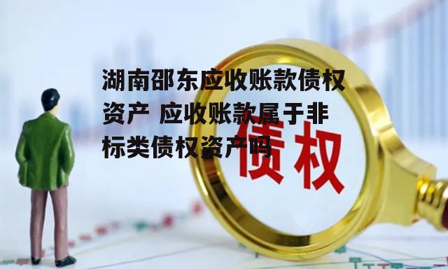 湖南邵东应收账款债权资产 应收账款属于非标类债权资产吗