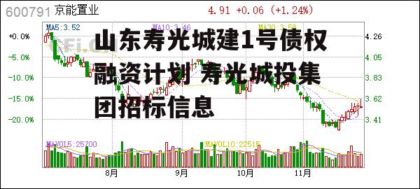 山东寿光城建1号债权融资计划 寿光城投集团招标信息