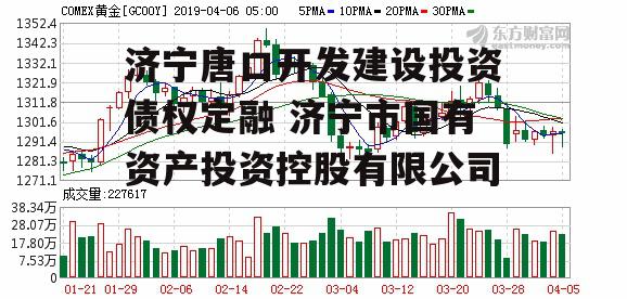 济宁唐口开发建设投资债权定融 济宁市国有资产投资控股有限公司