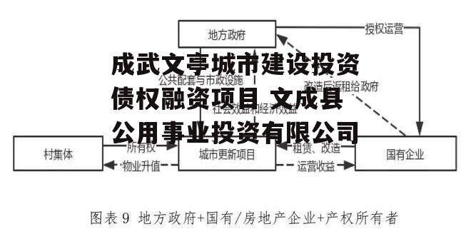 成武文亭城市建设投资债权融资项目 文成县公用事业投资有限公司