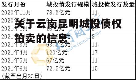 关于云南昆明城投债权拍卖的信息