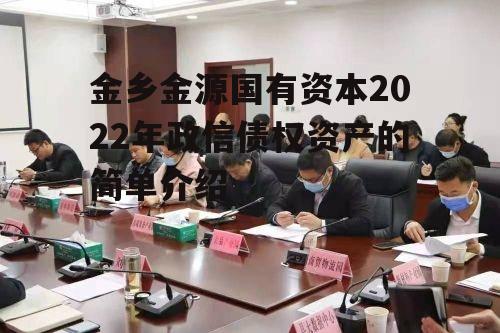 金乡金源国有资本2022年政信债权资产的简单介绍