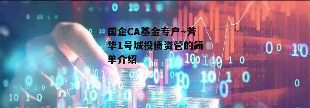 国企CA基金专户～芳华1号城投债资管的简单介绍