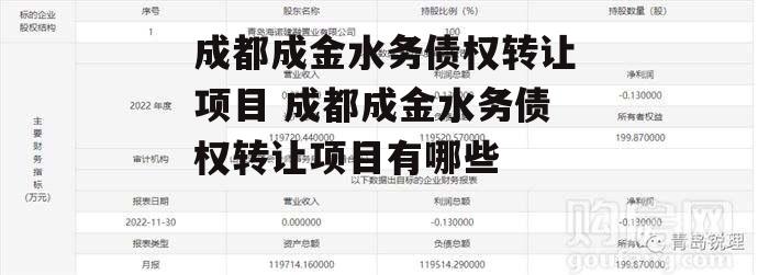 成都成金水务债权转让项目 成都成金水务债权转让项目有哪些