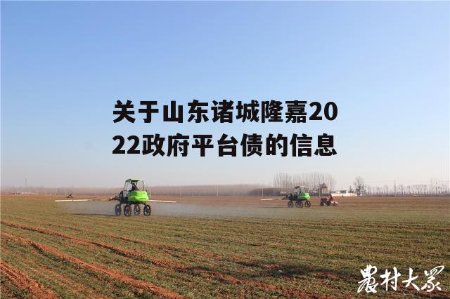 关于山东诸城隆嘉2022政府平台债的信息